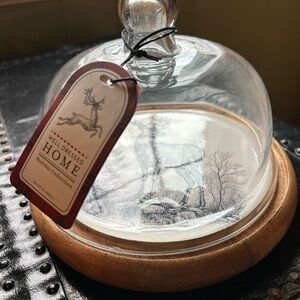 Glass Cloche/Cheese Dome with Wooden Base
